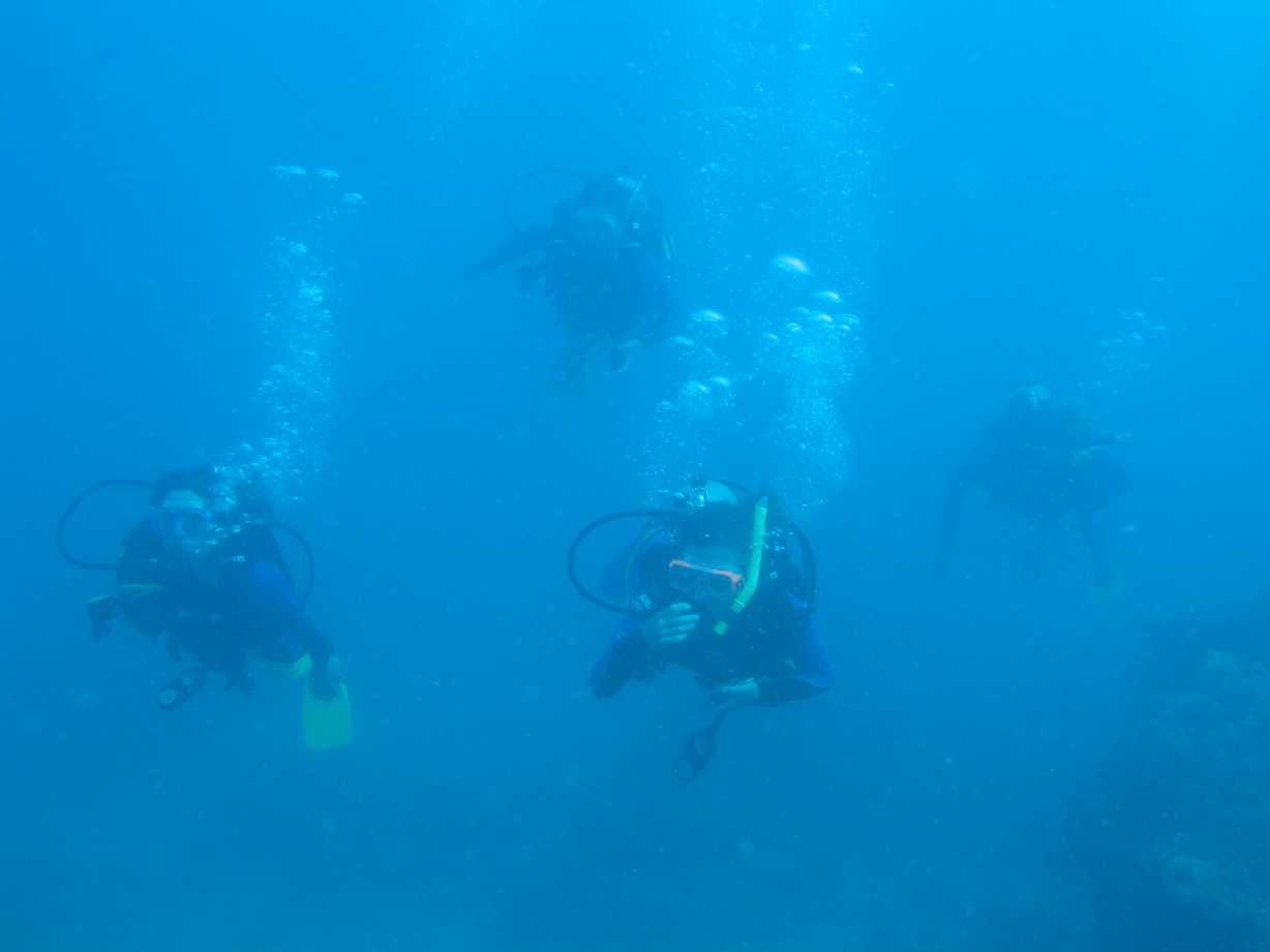 resized_day 2a Luncheon Bay 011.jpg