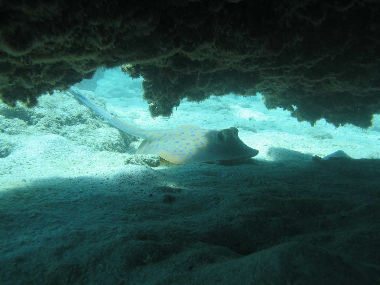 resized_day 2a Luncheon Bay 090.jpg